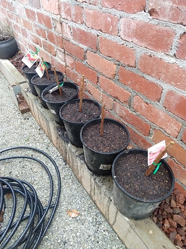 IMG_20200626_153944709