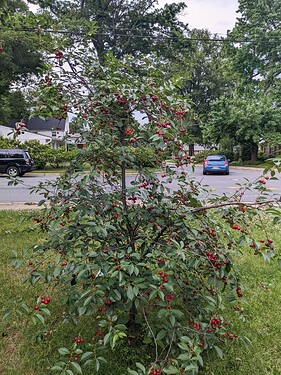 PXL_20220610_232227079