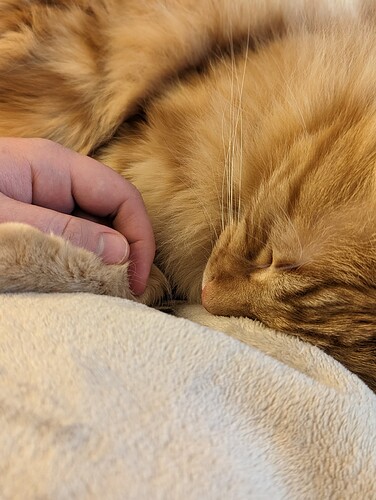 PXL_20230330_193540081.PORTRAIT