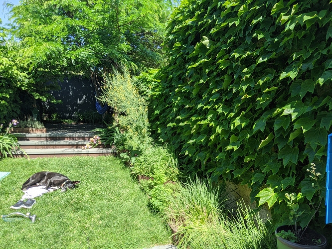 PXL_20210519_142610365_resize_33