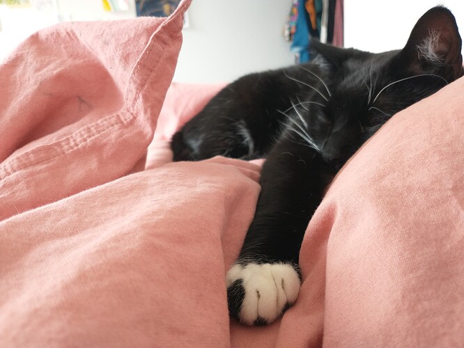 IMG_20230309_140354193