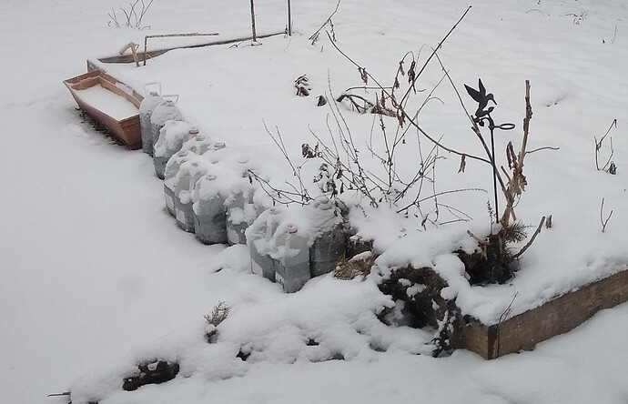 original_bb452519-6bc9-4fc6-86ba-b5543ec48002_IMG_20230127_112224749