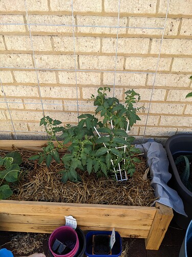 PXL_20230108_015324414