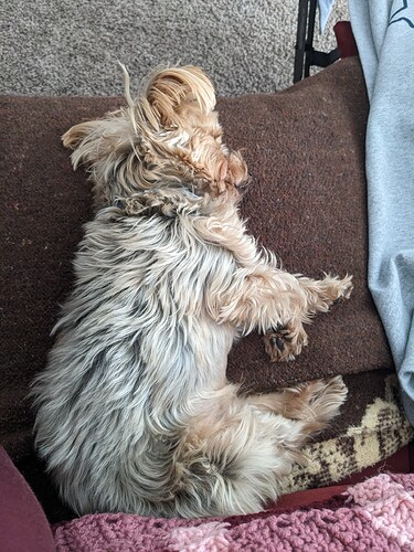 PXL_20230325_170650987