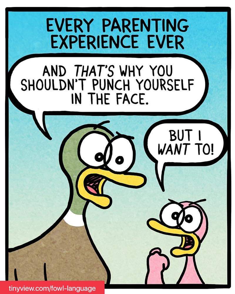 FB_IMG_1640457026225