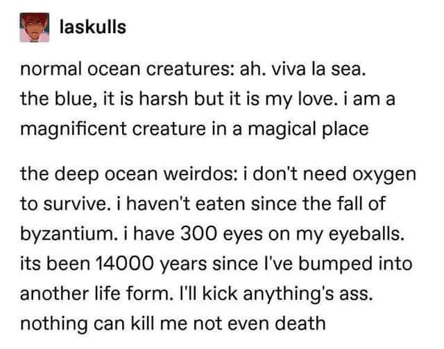 FB_IMG_1640672590919