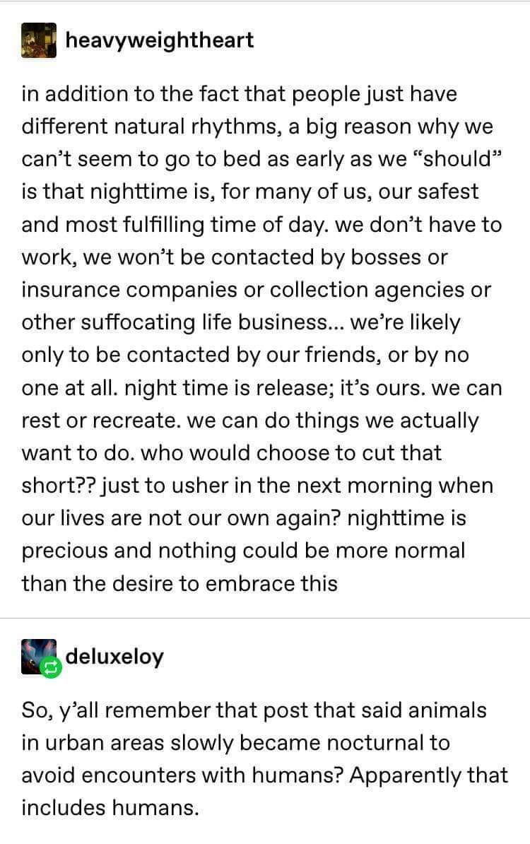 FB_IMG_1640413536730