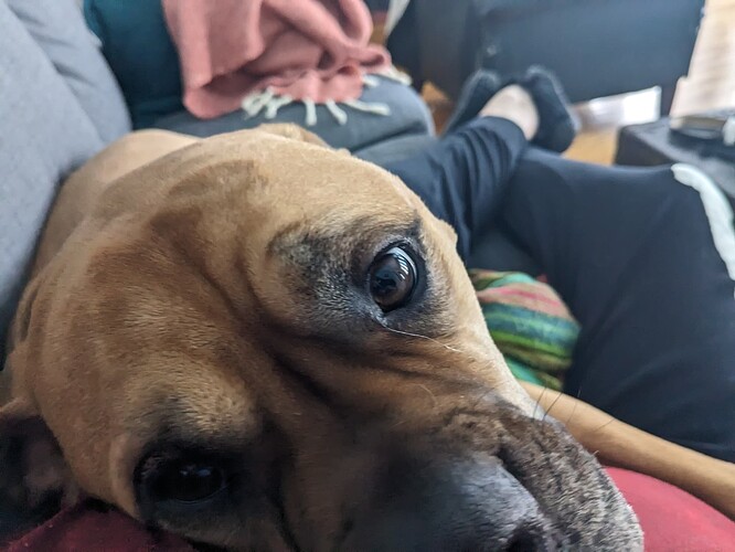 PXL_20230305_214003256