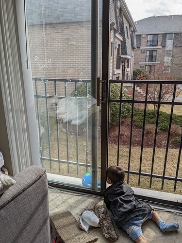 PXL_20220212_182918732