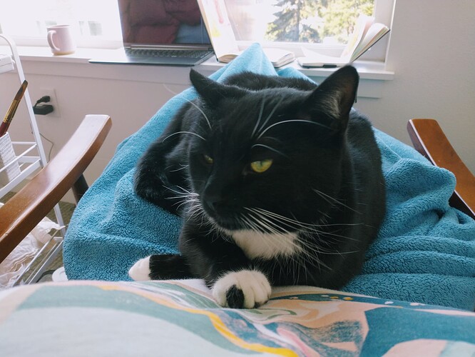 IMG_20230404_145505628