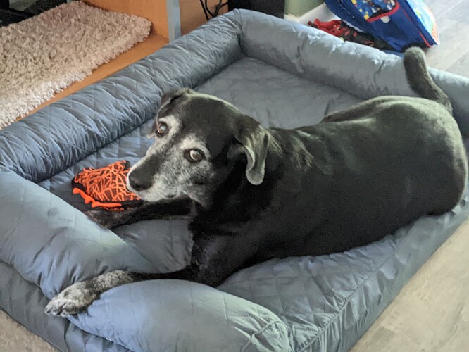 PXL_20221006_203416738