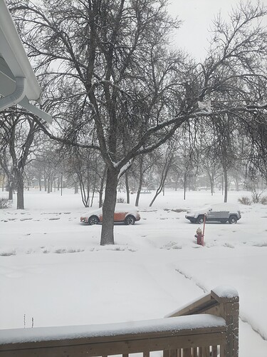 PXL_20230405_124847060