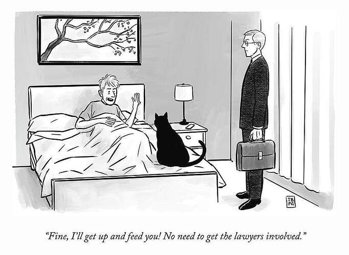 FB_IMG_1657217269758