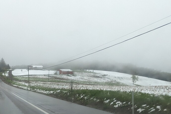 PXL_20230503_210636113~2