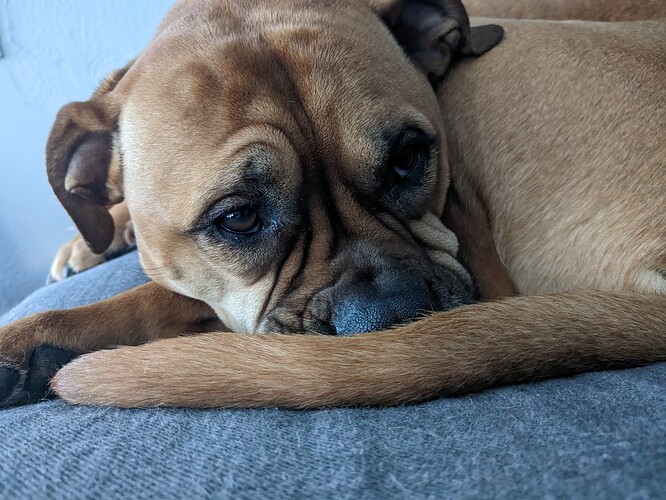 PXL_20230304_133929457