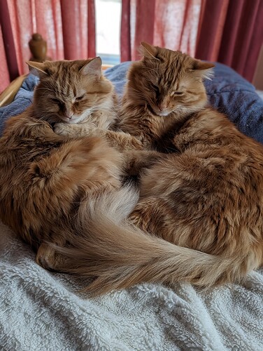 PXL_20230214_202120138.PORTRAIT