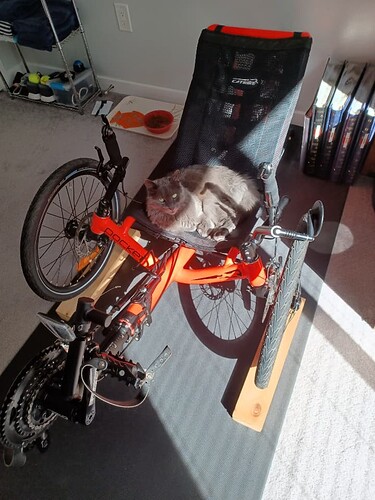 Resized_20221006_125633