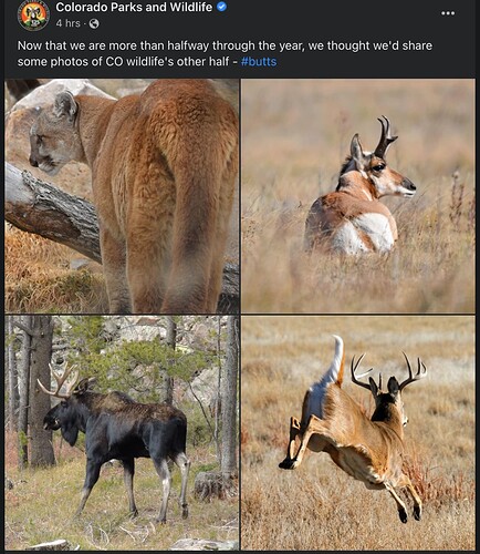 Screen Shot 2022-07-07 at 11.56.11 AM