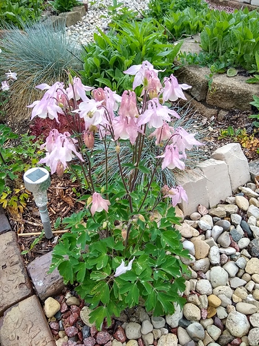 IMG_20210523_105542199_HDR