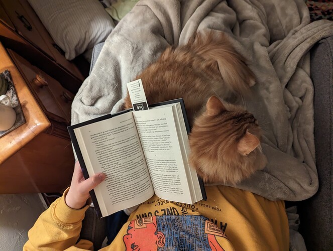 PXL_20230223_030952086