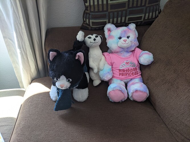 PXL_20210520_175547604