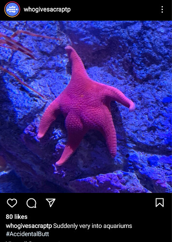 Screenshot_20220427-161611