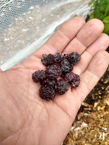 IMG_20211219_144240567_HDR